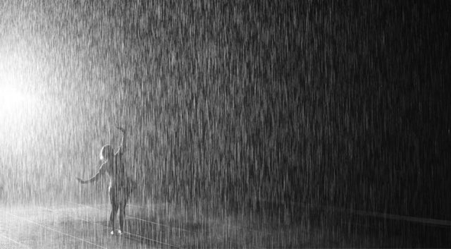 cropped-rain-room-at-moma-12.jpg
