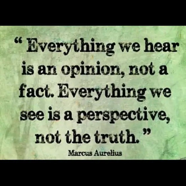 Perception and memory.